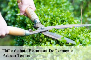 Taille de haie  beaumont-de-lomagne-82500 Artisan Ternus