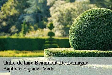 Taille de haie beaumont-de-lomagne-82500 Elagage Calvet