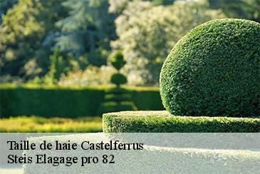 Taille de haie castelferrus-82100 Steis Elagage pro 82