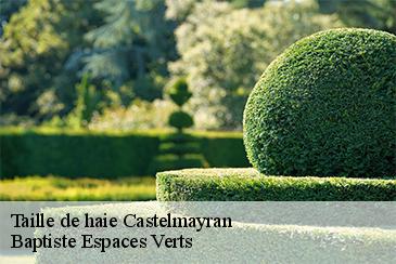 Taille de haie  castelmayran-82210 Baptiste Espaces Verts 
