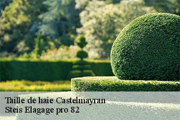 Taille de haie castelmayran-82210 Steis Elagage pro 82