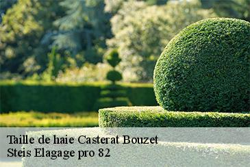 Taille de haie casterat-bouzet-82120 Steis Elagage pro 82