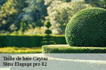 Taille de haie cayrac-82440 Steis Elagage pro 82