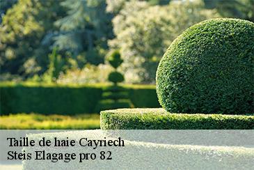 Taille de haie cayriech-82240 Steis Elagage pro 82