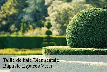 Taille de haie dieupentale-82170 Baptiste Espaces Verts