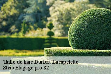 Taille de haie durfort-lacapelette-82390 Steis Elagage pro 82