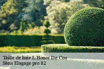 Taille de haie l-honor-de-cos-82130 Steis Elagage pro 82