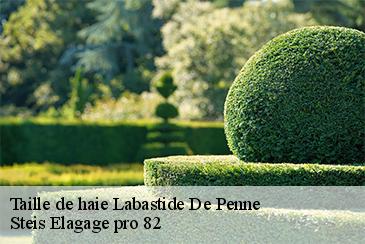 Taille de haie labastide-de-penne-82240 Steis Elagage pro 82