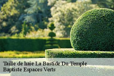 Taille de haie la-bastide-du-temple-82100 Baptiste Espaces Verts