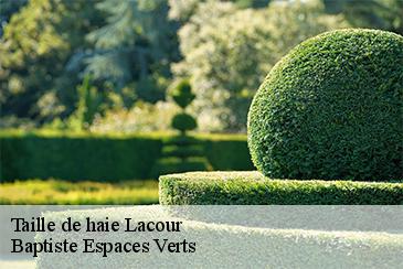 Taille de haie  lacour-82190 Baptiste Espaces Verts 