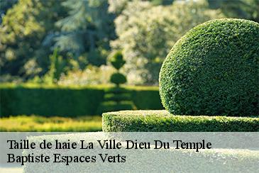 Taille de haie la-ville-dieu-du-temple-82290 Baptiste Espaces Verts