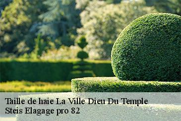 Taille de haie la-ville-dieu-du-temple-82290 Steis Elagage pro 82