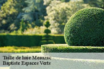 Taille de haie  meauzac-82290 Baptiste Espaces Verts 