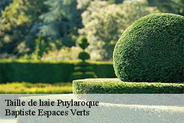 Taille de haie  puylaroque-82240 Baptiste Espaces Verts 