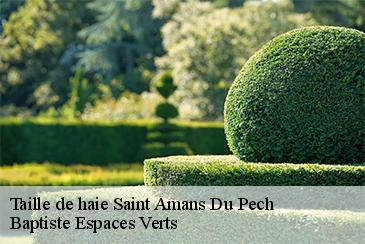 Taille de haie saint-amans-du-pech-82150 Baptiste Espaces Verts