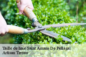 Taille de haie  saint-amans-de-pellagal-82110 Artisan Ternus