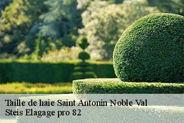 Taille de haie  saint-antonin-noble-val-82140 Steis Elagage pro 82