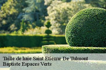 Taille de haie saint-etienne-de-tulmont-82410 Baptiste Espaces Verts