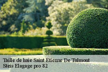 Taille de haie  saint-etienne-de-tulmont-82410 Steis Elagage pro 82