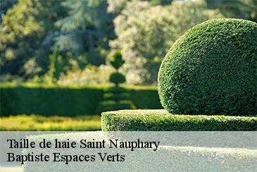 Taille de haie  saint-nauphary-82370 Baptiste Espaces Verts 