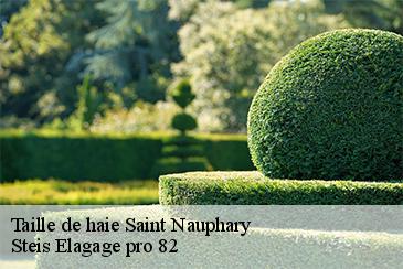 Taille de haie  saint-nauphary-82370 Steis Elagage pro 82
