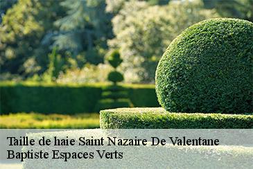 Taille de haie saint-nazaire-de-valentane-82190 Baptiste Espaces Verts