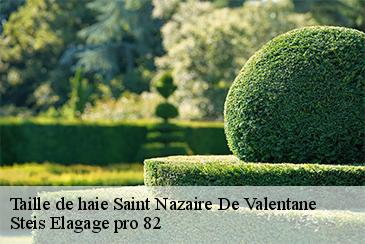 Taille de haie  saint-nazaire-de-valentane-82190 Steis Elagage pro 82