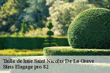 Taille de haie  saint-nicolas-de-la-grave-82210 Steis Elagage pro 82