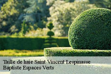 Taille de haie saint-vincent-lespinasse-82400 Baptiste Espaces Verts