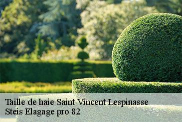 Taille de haie  saint-vincent-lespinasse-82400 Steis Elagage pro 82