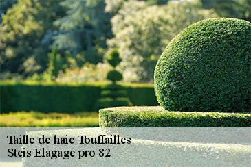 Taille de haie touffailles-82190 Steis Elagage pro 82