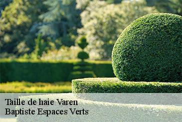 Taille de haie varen-82330 Baptiste Espaces Verts