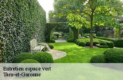 Entretien espace vert Tarn-et-Garonne 