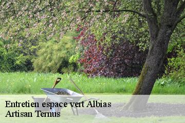 Entretien espace vert  albias-82350 Artisan Ternus