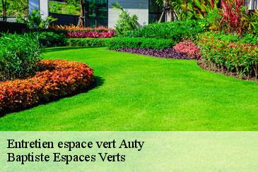 Entretien espace vert auty-82220 Baptiste Espaces Verts