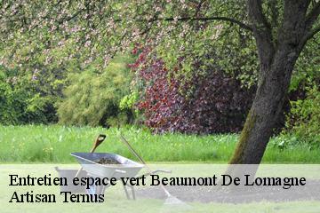 Entretien espace vert  beaumont-de-lomagne-82500 Artisan Ternus