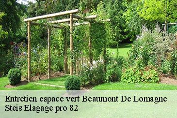 Entretien espace vert beaumont-de-lomagne-82500 Steis Elagage pro 82
