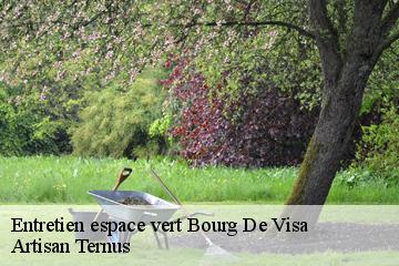 Entretien espace vert  bourg-de-visa-82190 Artisan Ternus