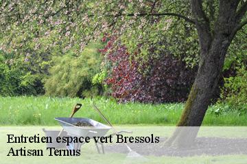 Entretien espace vert  bressols-82710 Artisan Ternus