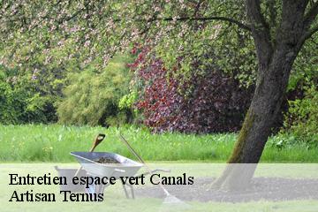 Entretien espace vert  canals-82170 Artisan Ternus