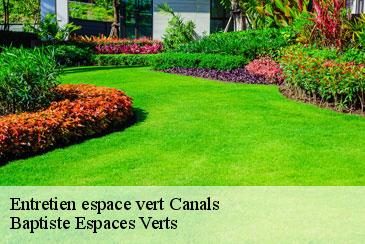 Entretien espace vert canals-82170 Baptiste Espaces Verts