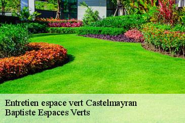 Entretien espace vert castelmayran-82210 Baptiste Espaces Verts