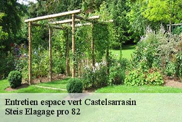 Entretien espace vert castelsarrasin-82100 Steis Elagage pro 82