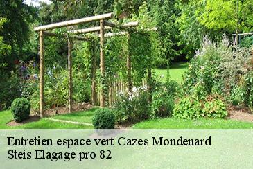 Entretien espace vert cazes-mondenard-82110 Steis Elagage pro 82