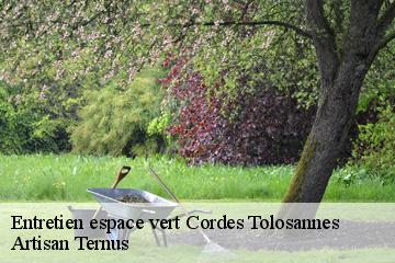 Entretien espace vert  cordes-tolosannes-82700 Artisan Ternus