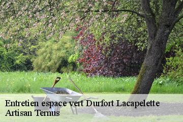 Entretien espace vert  durfort-lacapelette-82390 Artisan Ternus