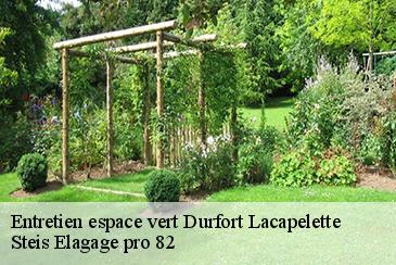 Entretien espace vert  durfort-lacapelette-82390 Steis Elagage pro 82