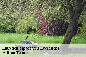 Entretien espace vert  escatalens-82700 Artisan Ternus