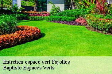 Entretien espace vert fajolles-82210 Baptiste Espaces Verts