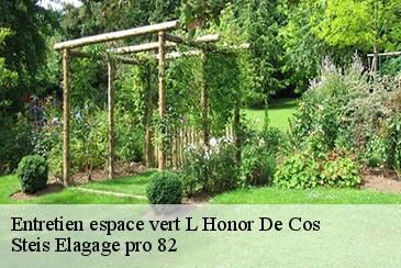 Entretien espace vert l-honor-de-cos-82130 Steis Elagage pro 82